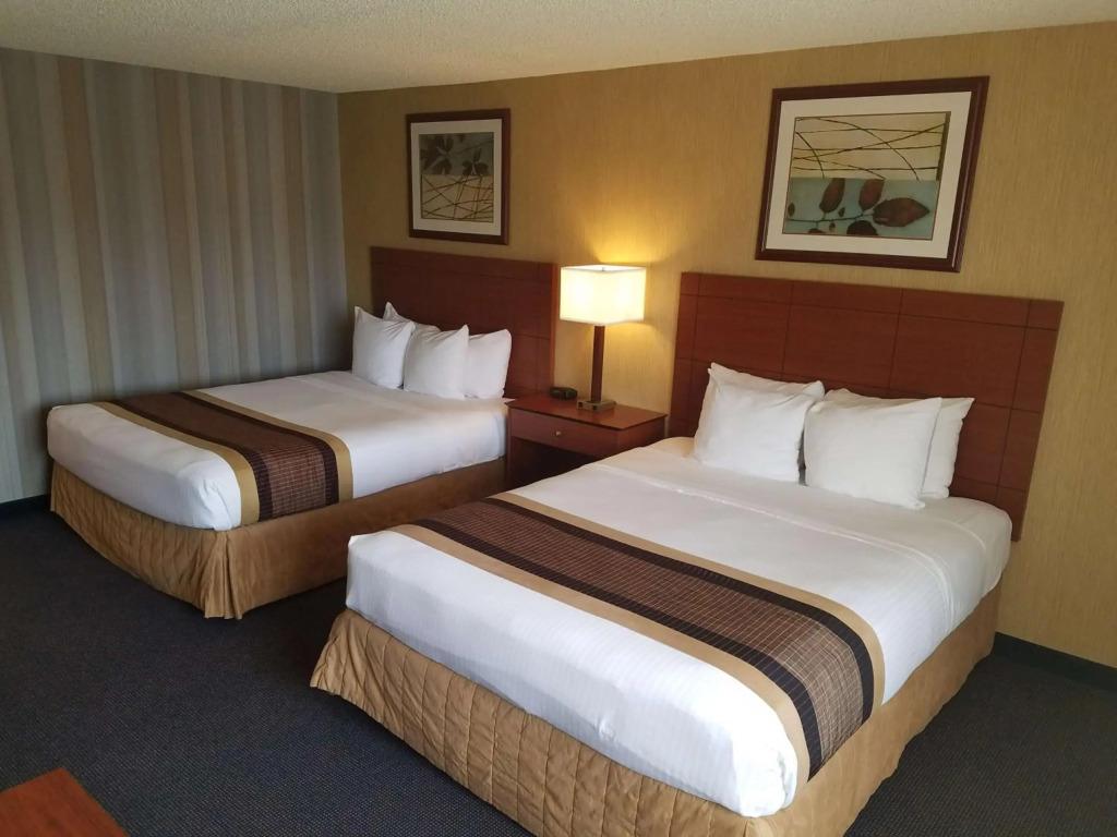 hotel image 41