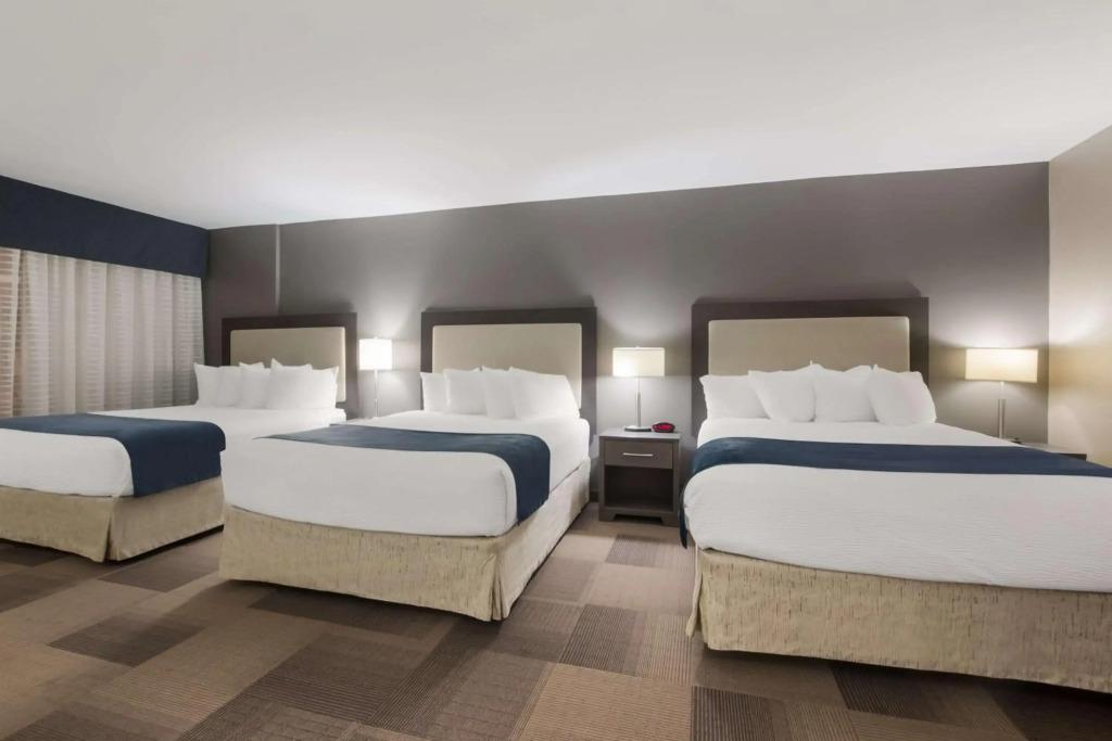 hotel image 26