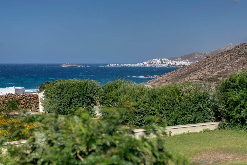 hotel image 37