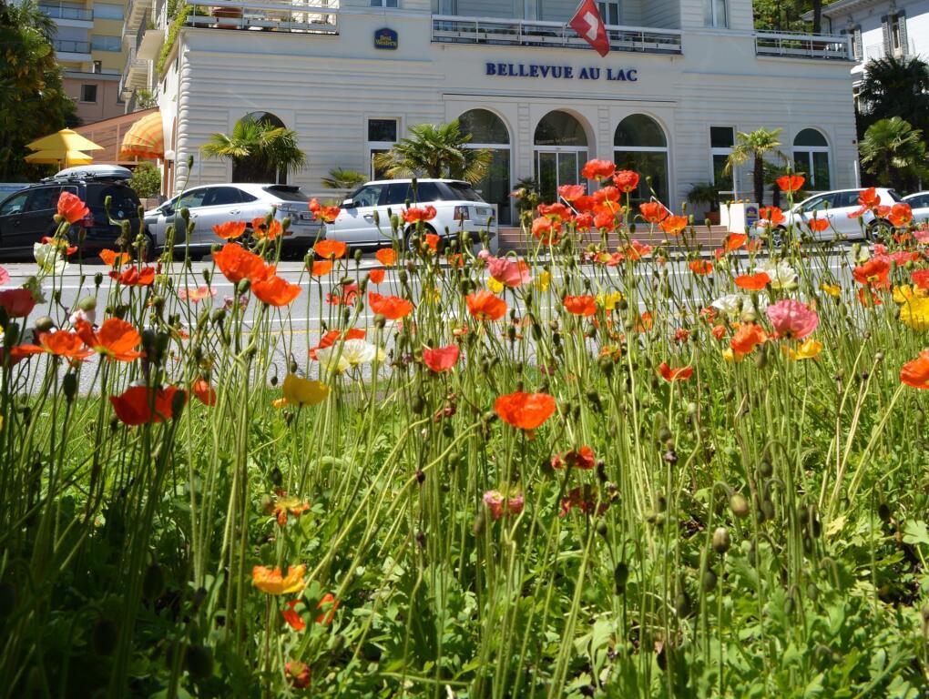 hotel image 27