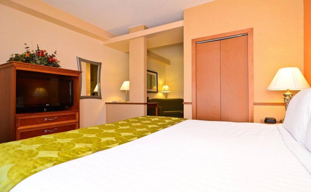 hotel image 12