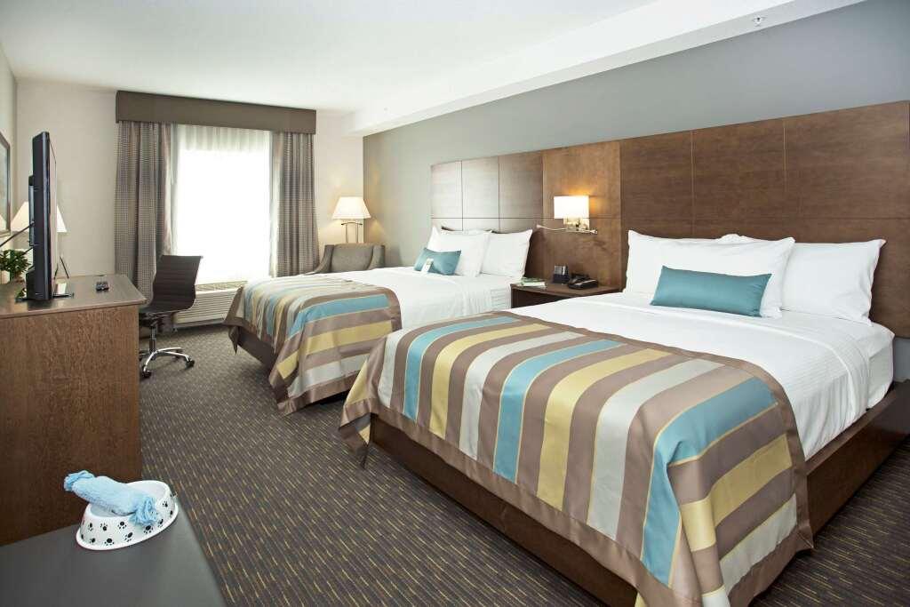 hotel image 9