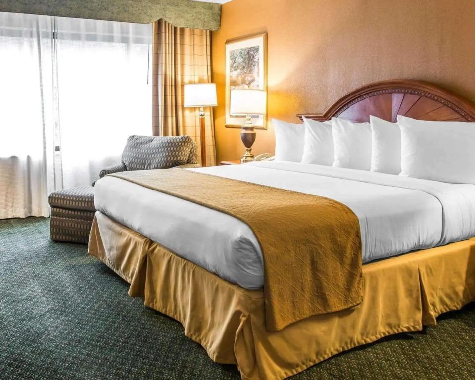 hotel image 18