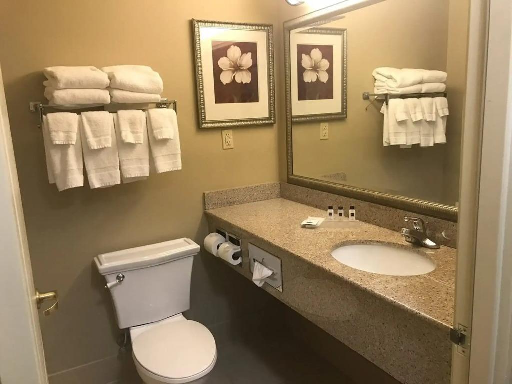 hotel image 24