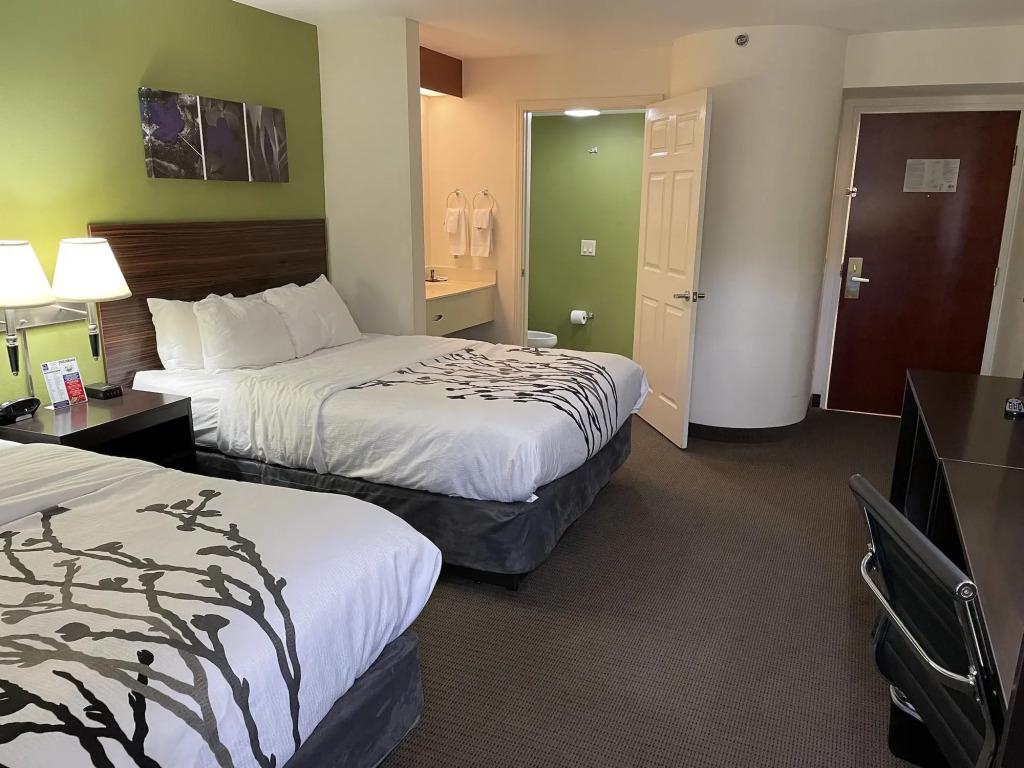 hotel image 13