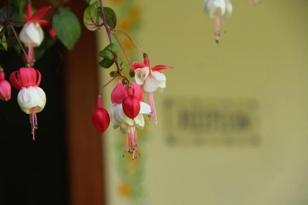 hotel image 49
