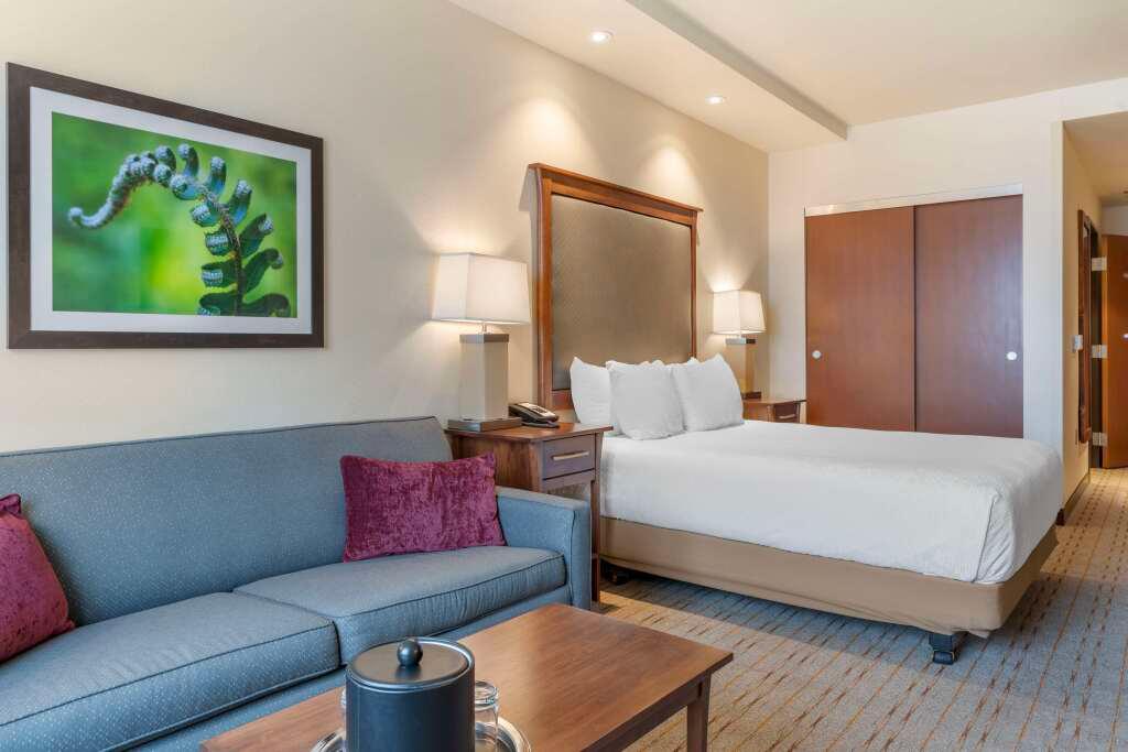 hotel image 24