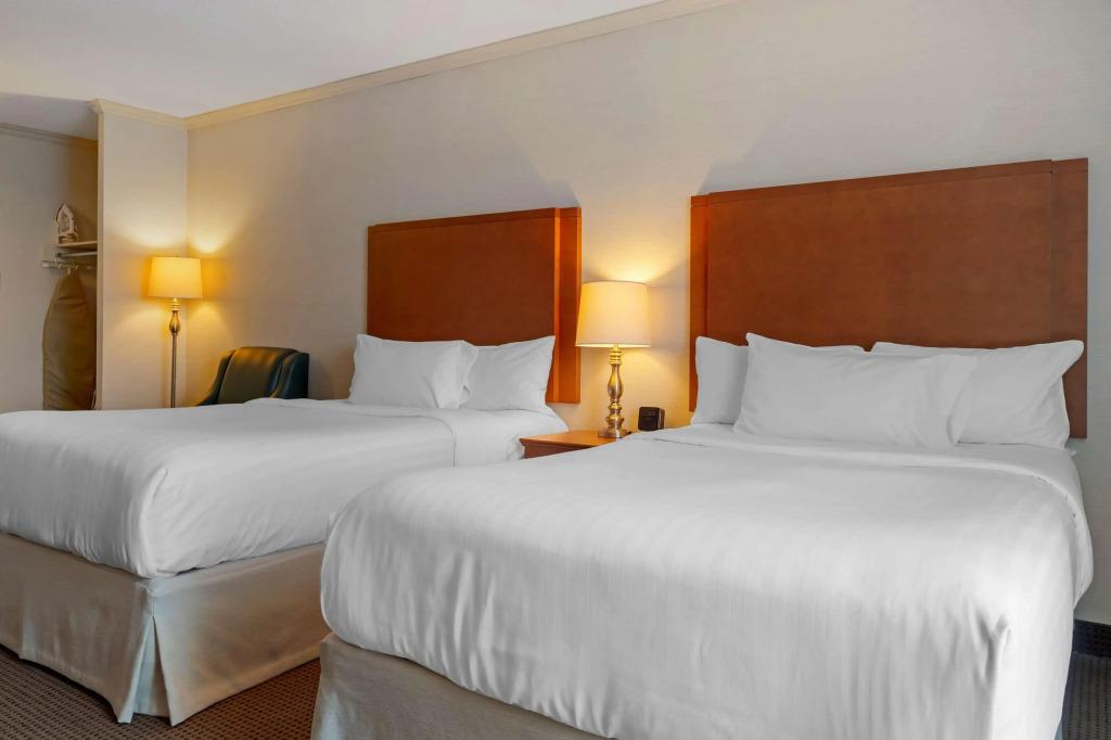 hotel image 24