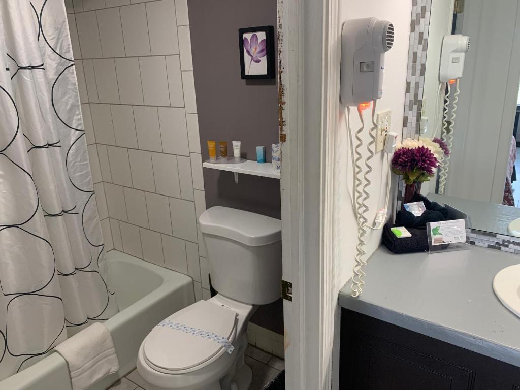 hotel image 11