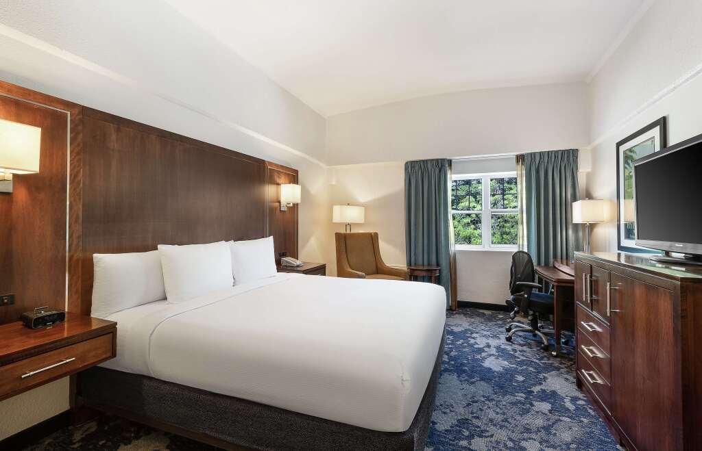 hotel image 20