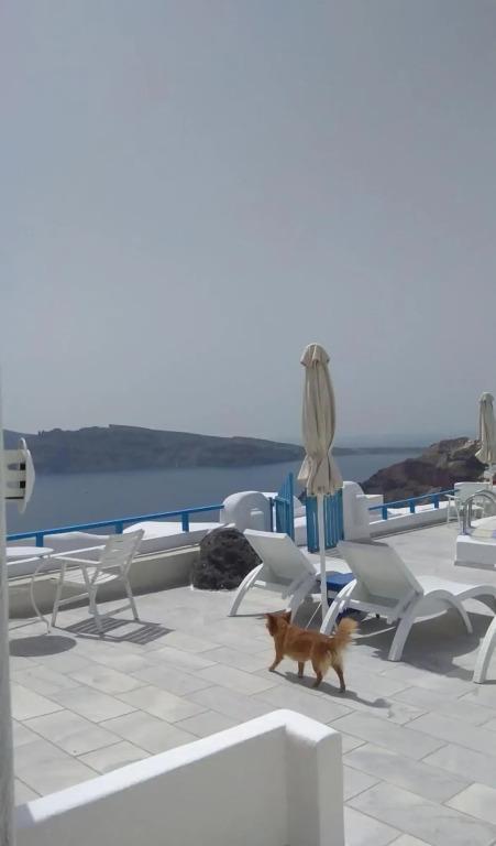hotel image 33
