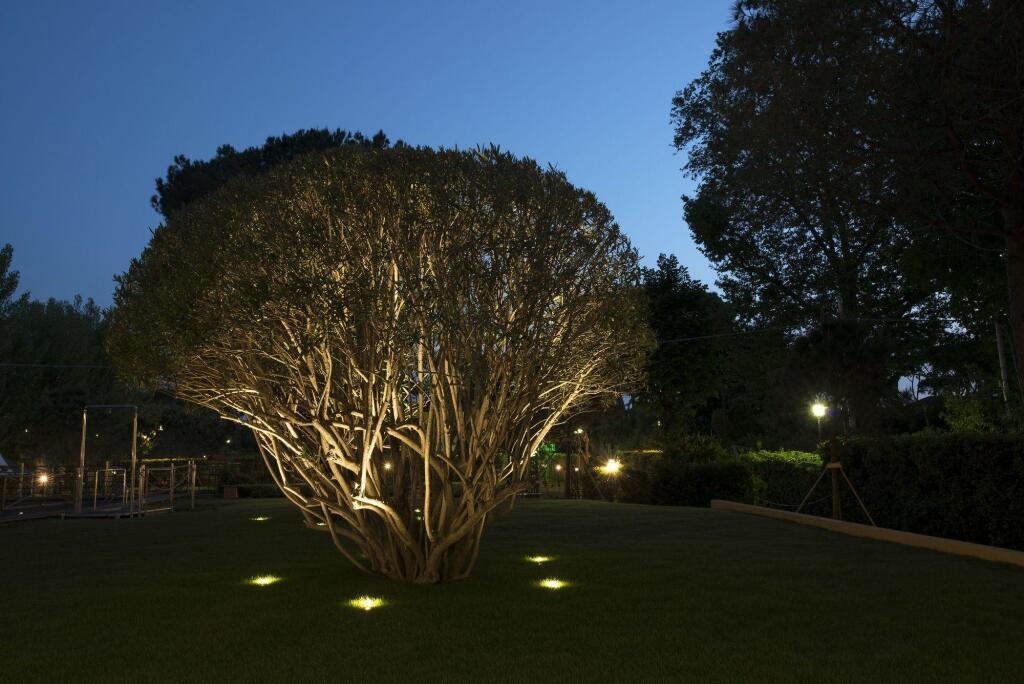 hotel image 23