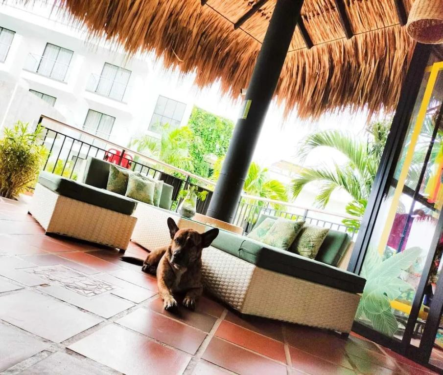 hotel image 10