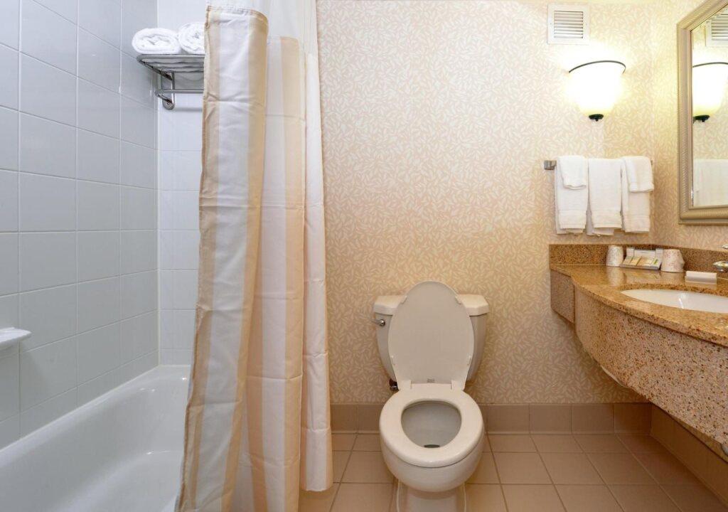 hotel image 8
