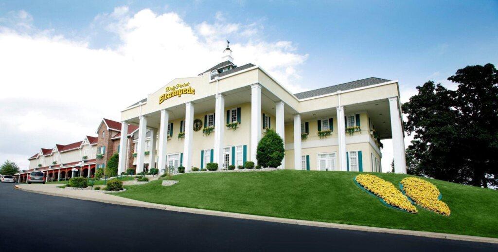 hotel image 12