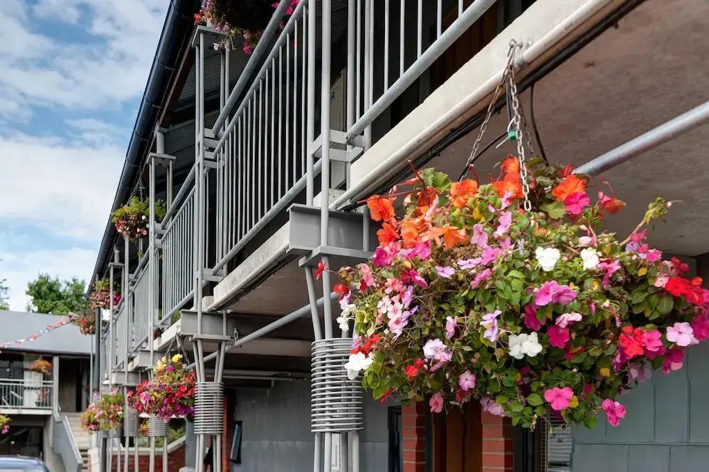 hotel image 23