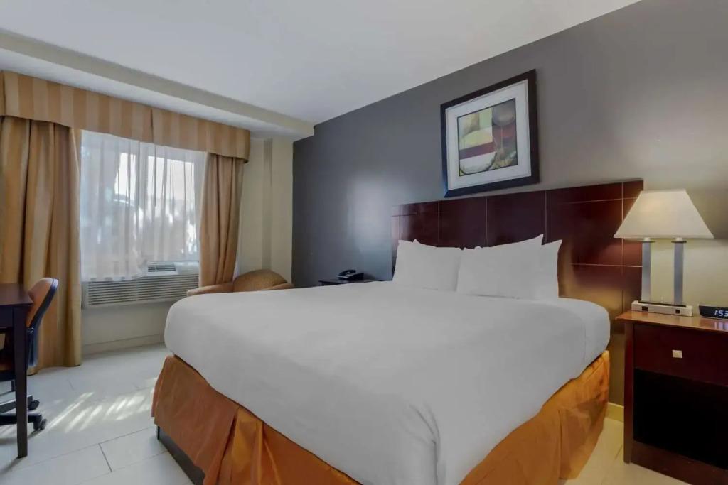 hotel image 24