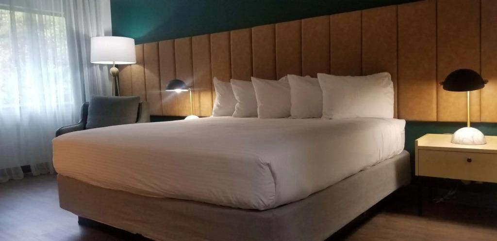 hotel image 42
