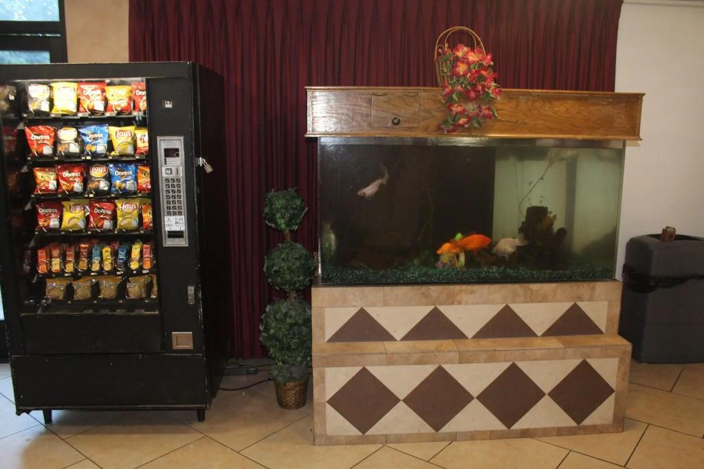 hotel image 16