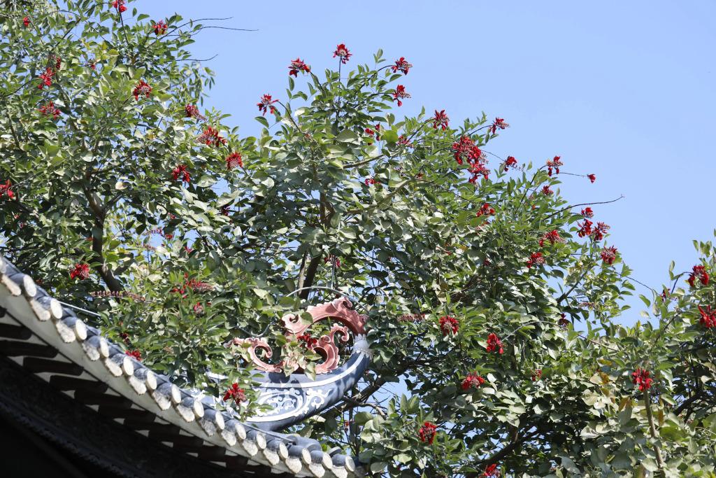 hotel image 21