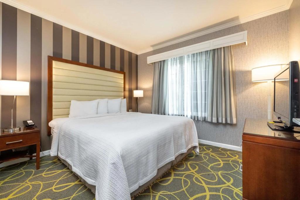 hotel image 27