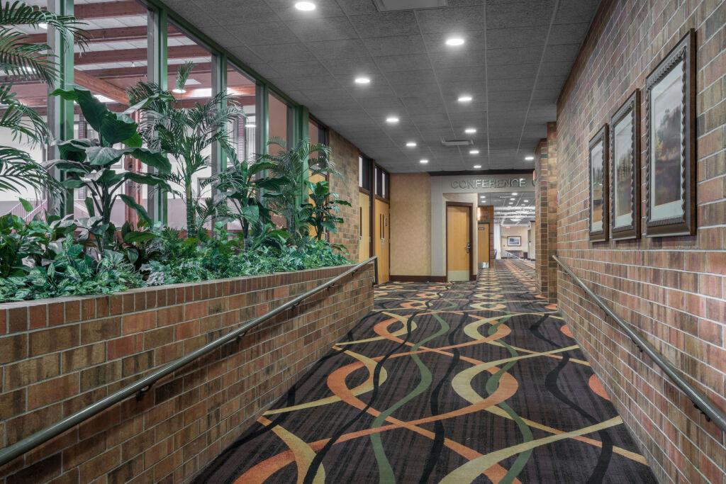 hotel image 27
