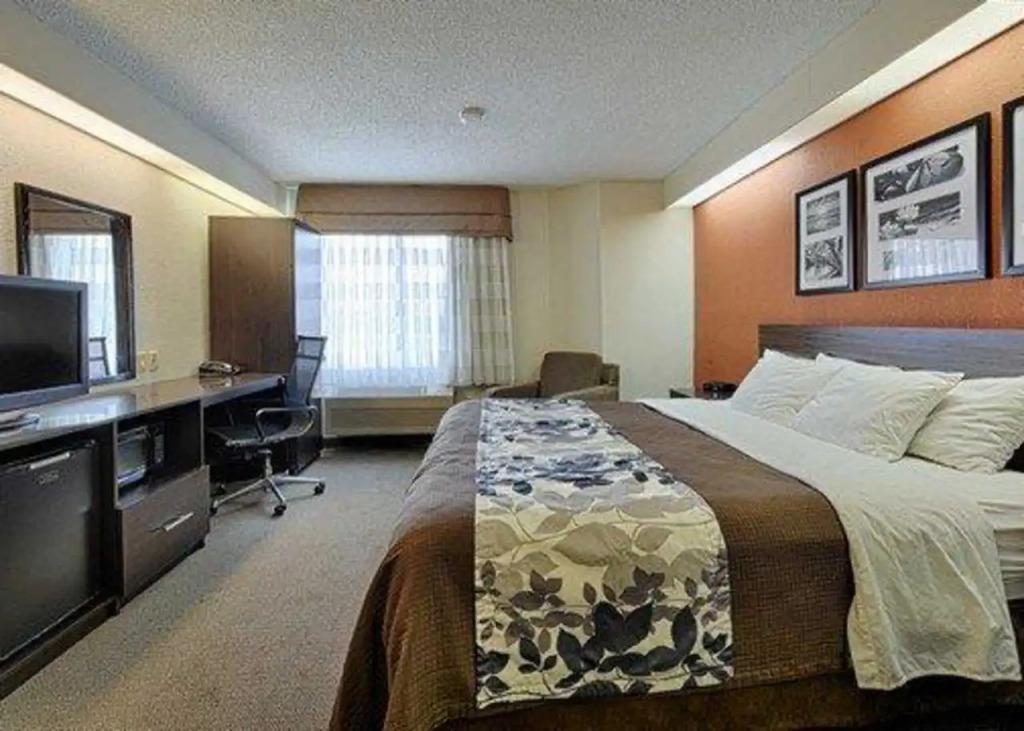 hotel image 8