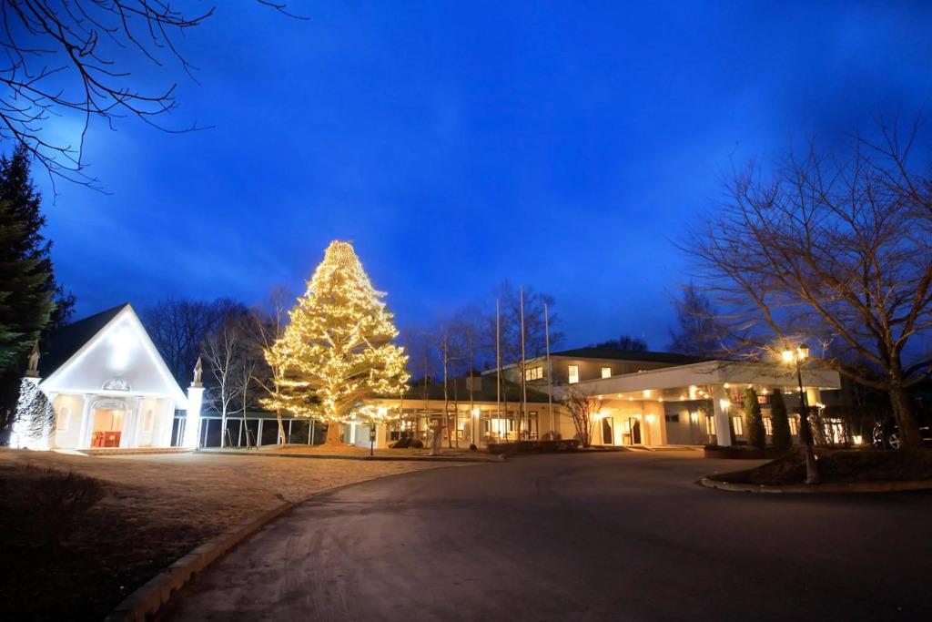 hotel image 17