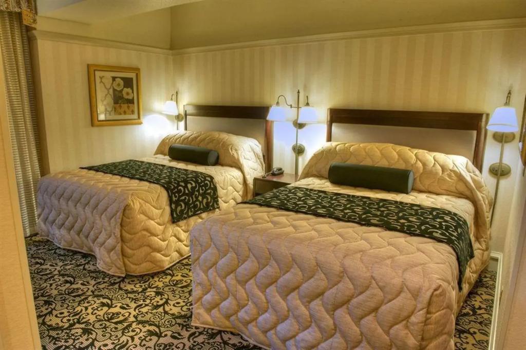 hotel image 33
