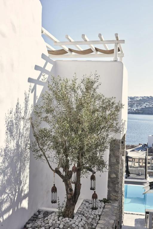 hotel image 23
