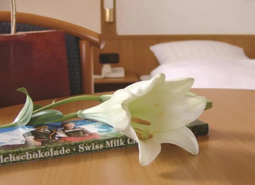 hotel image 20
