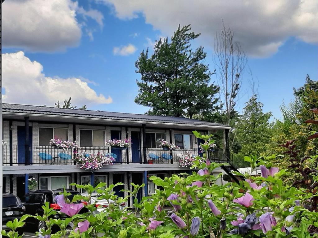 hotel image 13