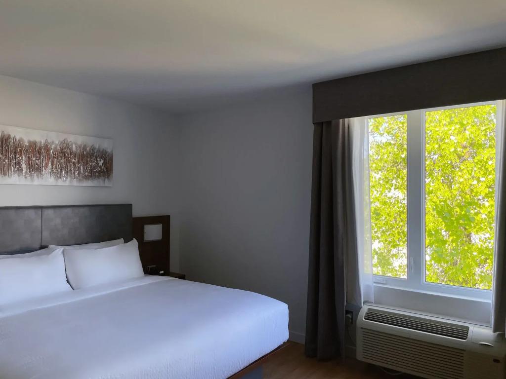 hotel image 24