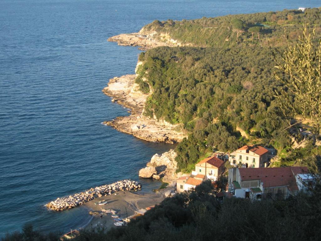 hotel image 28