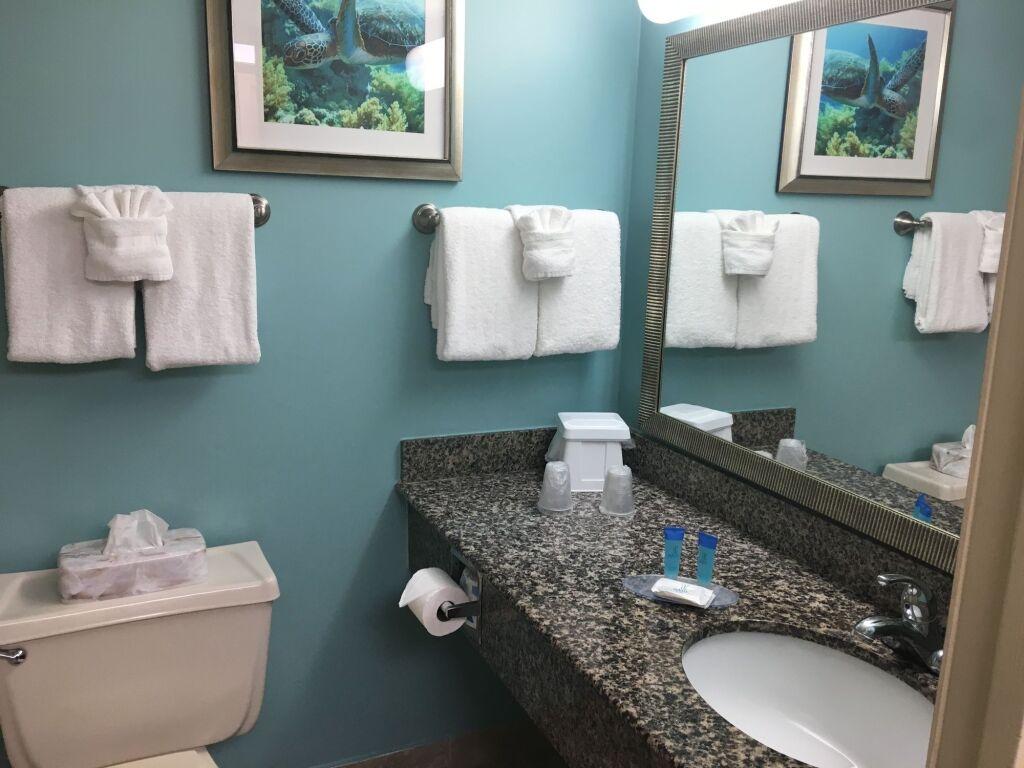 hotel image 9