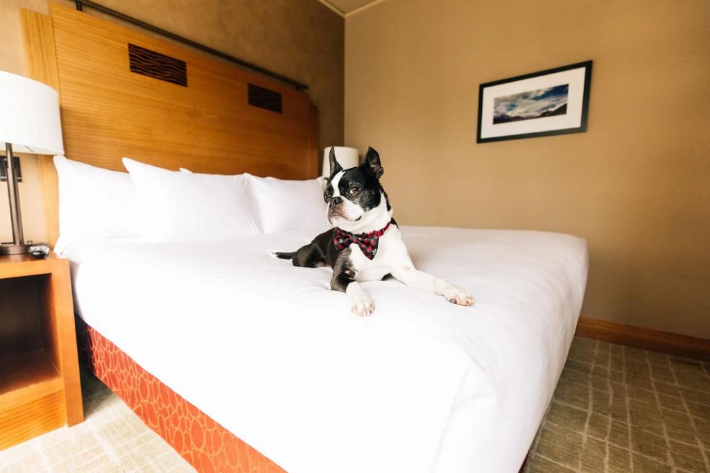 hotel image 10
