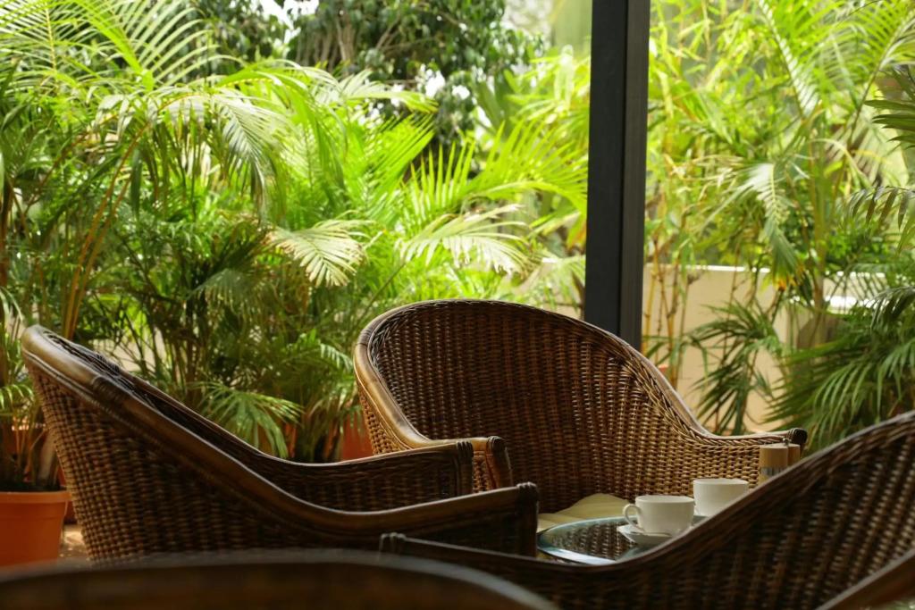 hotel image 13