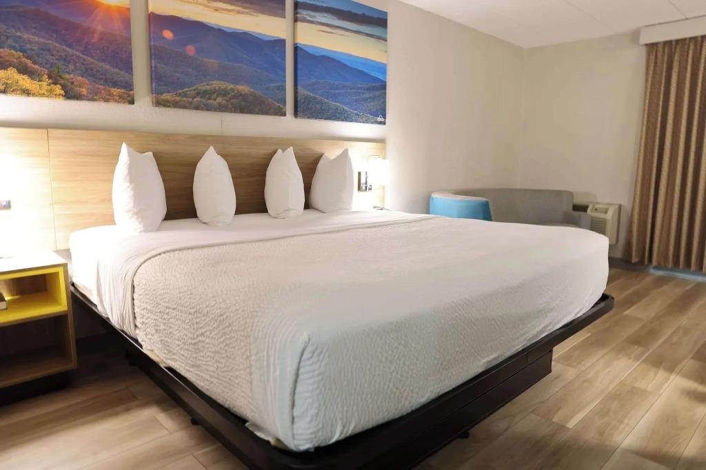 hotel image 13