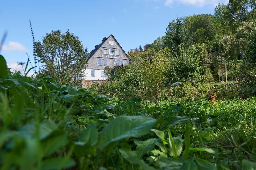hotel image 29