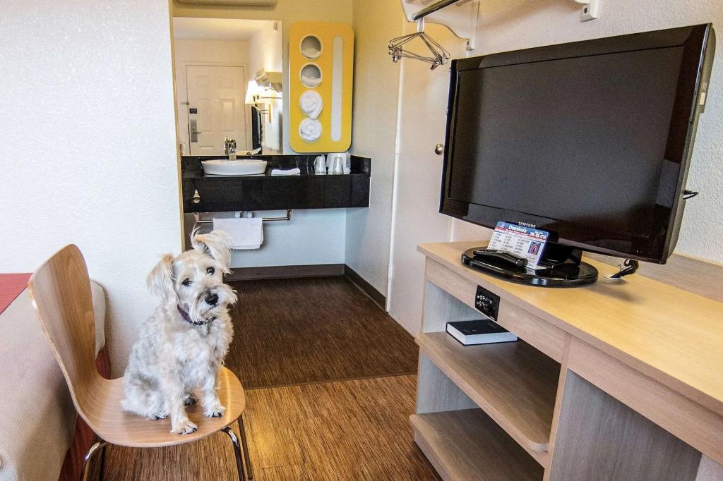 hotel image 12