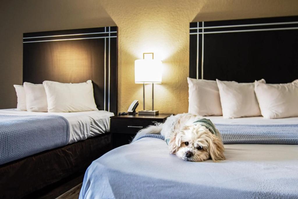hotel image 23