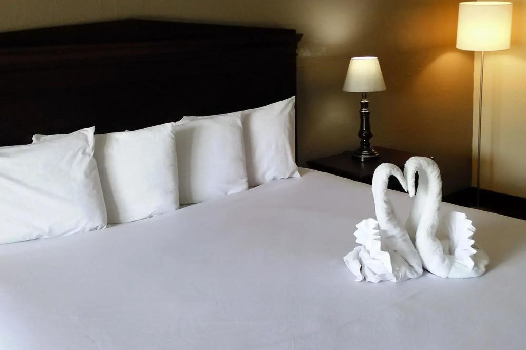 hotel image 18