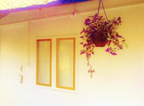hotel image 23