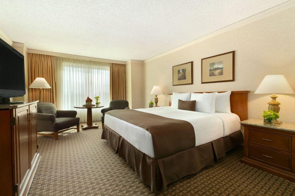 hotel image 22