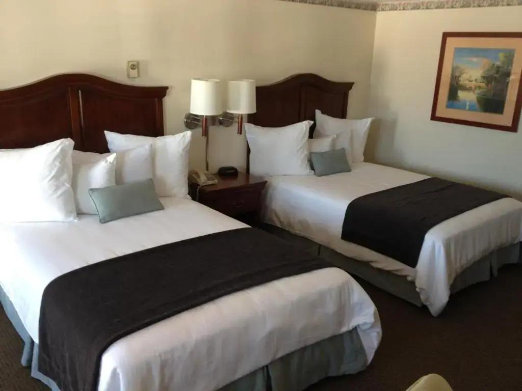 hotel image 10