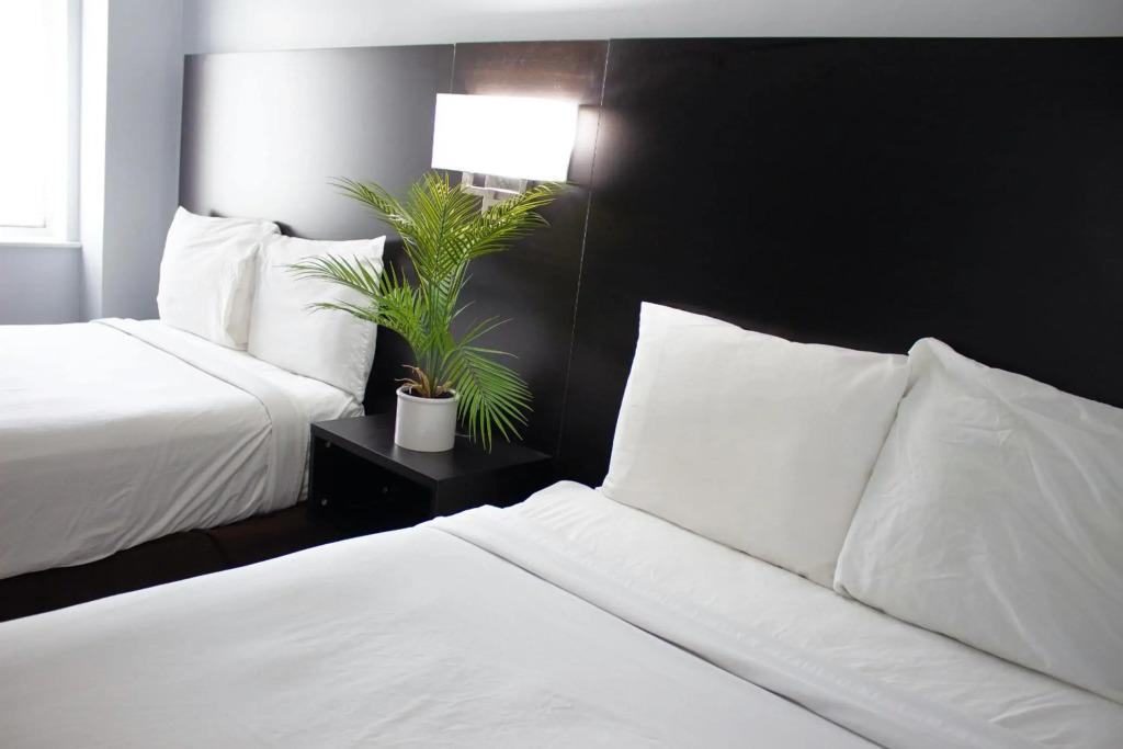 hotel image 13