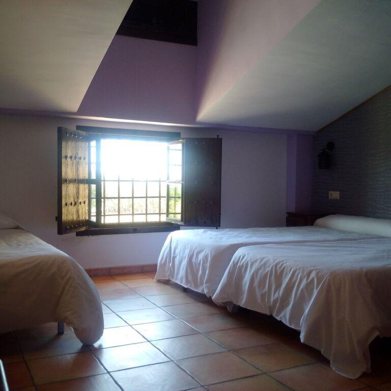 hotel image 43
