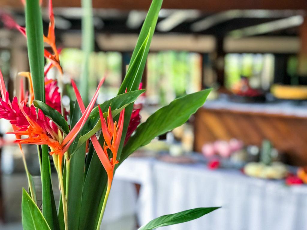 hotel image 31