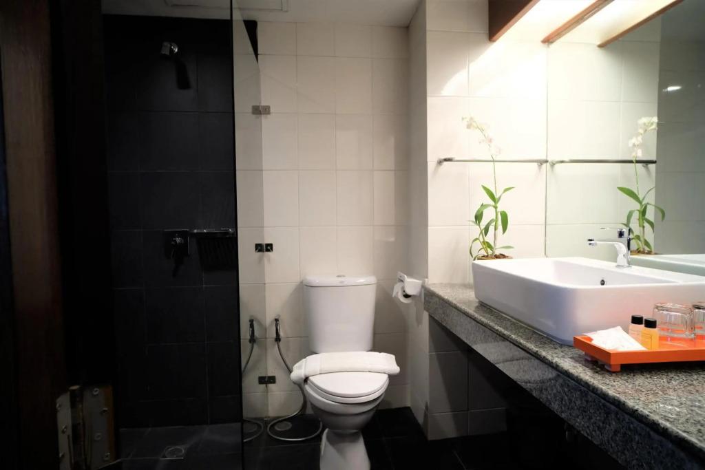 hotel image 11