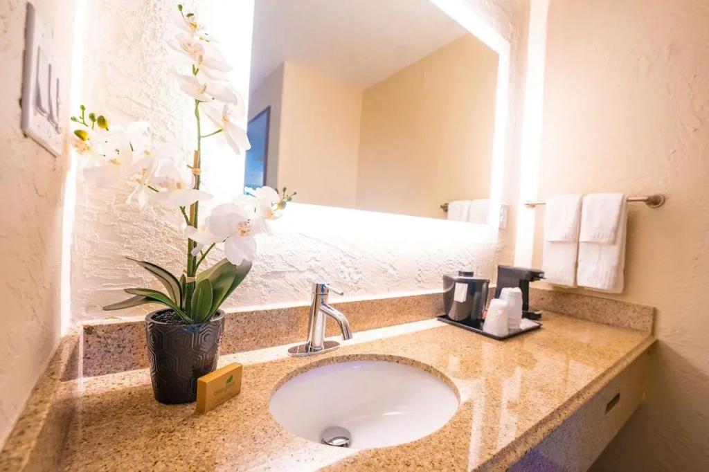 hotel image 40